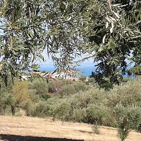 Il Casale Il Sole E La Margherita Campofelice Di Roccella Exterior foto