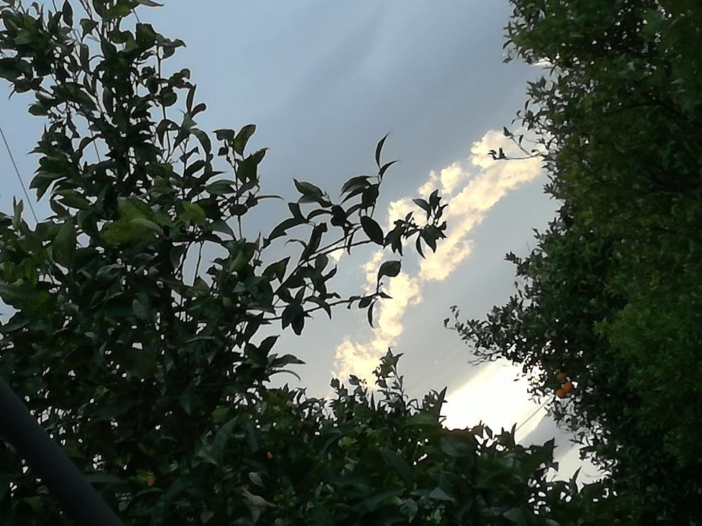 Il Casale Il Sole E La Margherita Campofelice Di Roccella Exterior foto