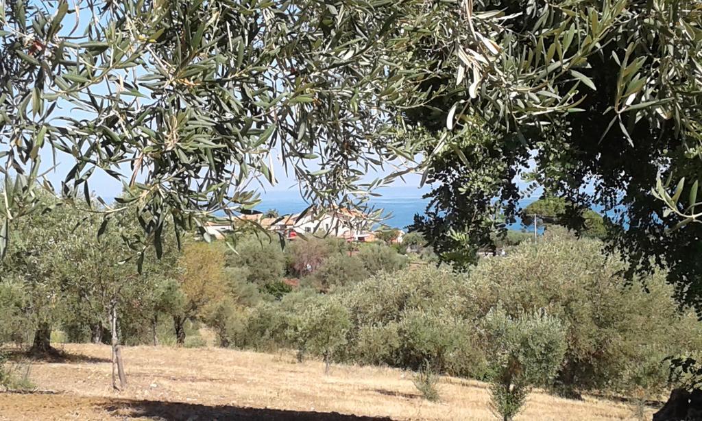 Il Casale Il Sole E La Margherita Campofelice Di Roccella Exterior foto